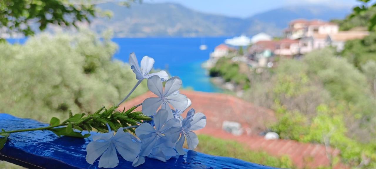 Kaminakia Apartments - Adults Only Policy - Delve Into This Little Oasis Where Peace And Quiet Reign Supreme - Sheltered By An Evergreen Cypress Forest - Offering A Large Swimming Pool Exclusively For Guests' Use And Breathtaking Sea Views From Every Fiskardo Esterno foto