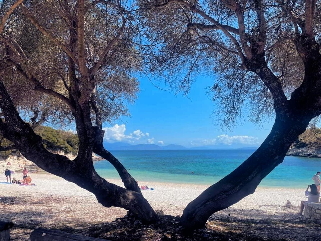 Kaminakia Apartments - Adults Only Policy - Delve Into This Little Oasis Where Peace And Quiet Reign Supreme - Sheltered By An Evergreen Cypress Forest - Offering A Large Swimming Pool Exclusively For Guests' Use And Breathtaking Sea Views From Every Fiskardo Esterno foto